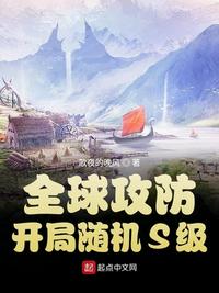 全球攻防：开局随机S级